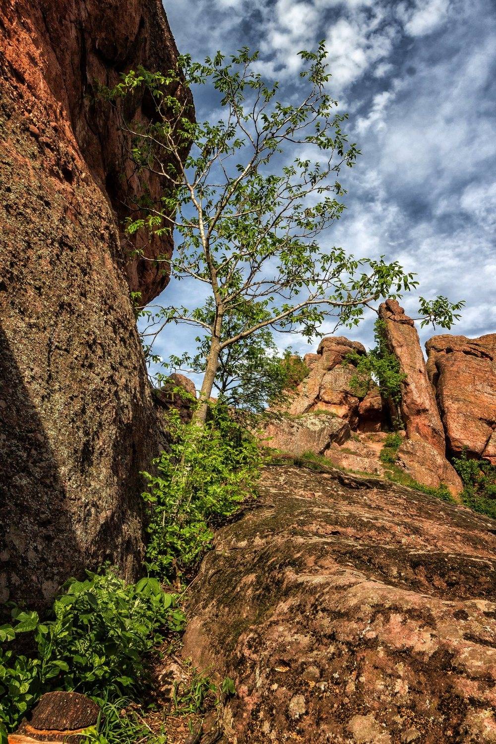 , Бистра Стоименова