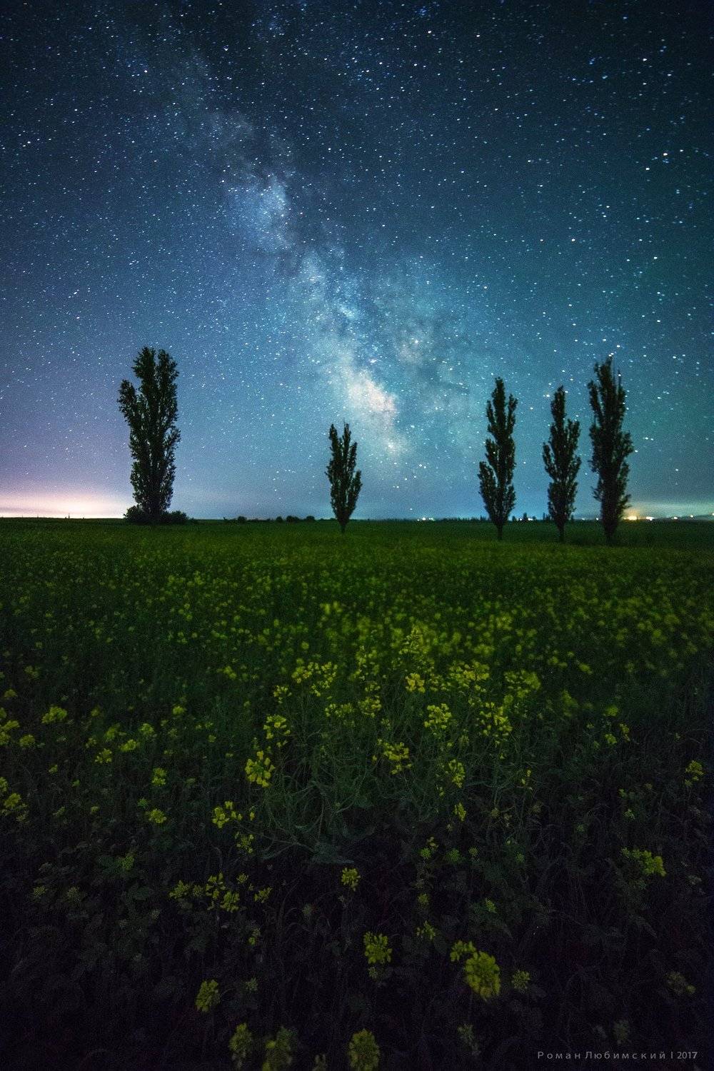 крым, тоскана, ривьера, ночная фотография, звезды, тополя, поля, галактика, выдержка, Роман Любимский