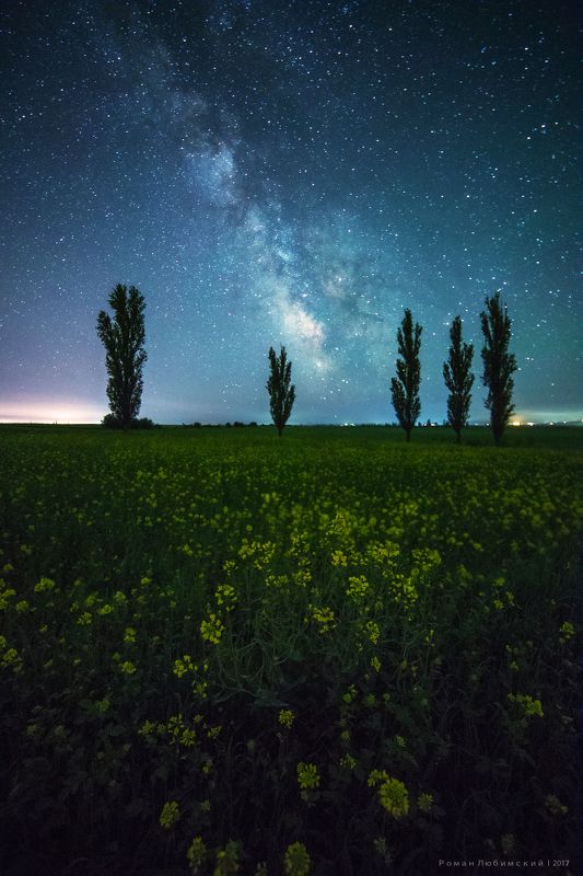 крым, тоскана, ривьера, ночная фотография, звезды, тополя, поля, галактика, выдержка Тоскана по крымски фото превью