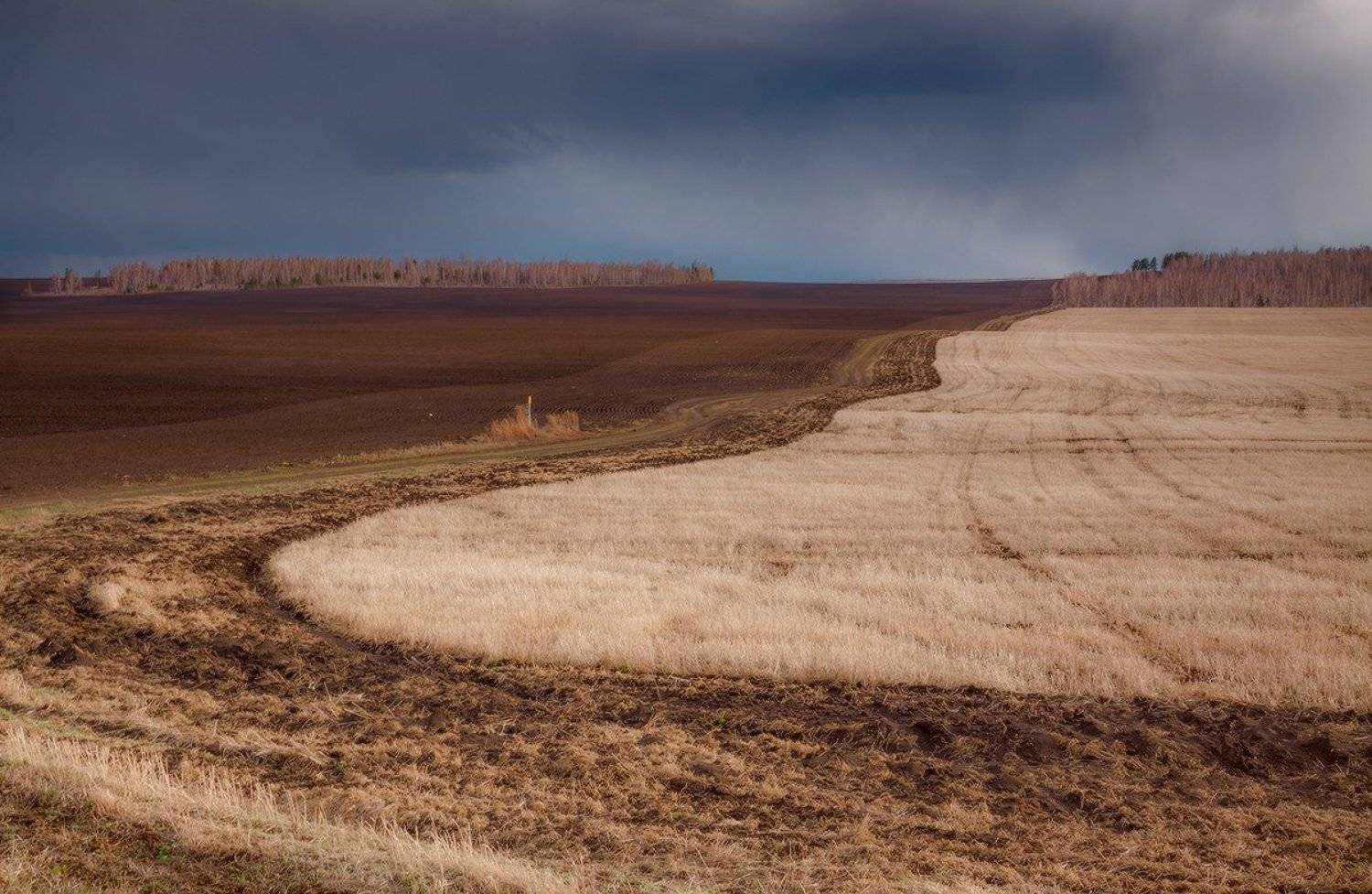 , Николай Морский