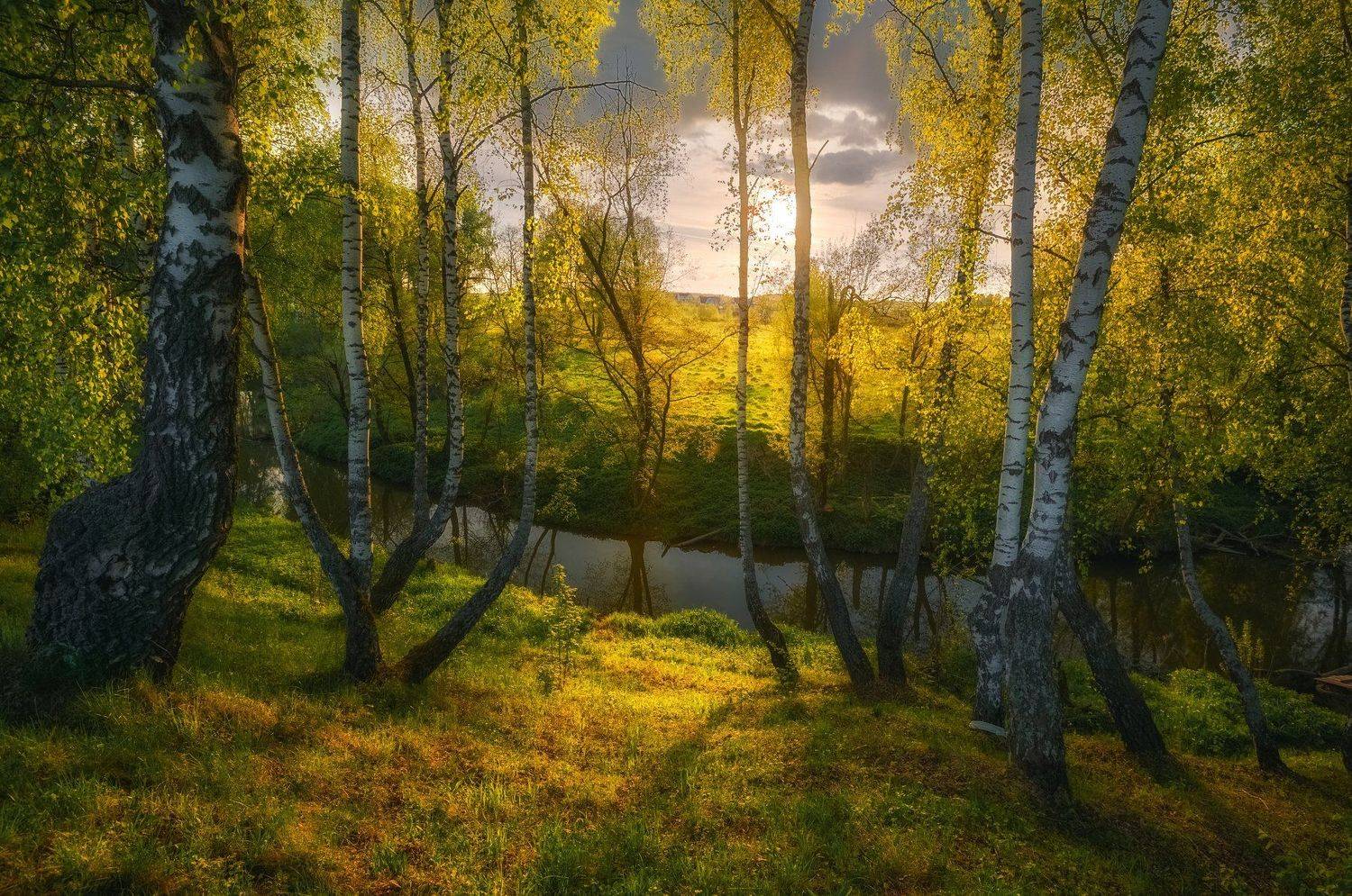 никон, Морозов Юрий