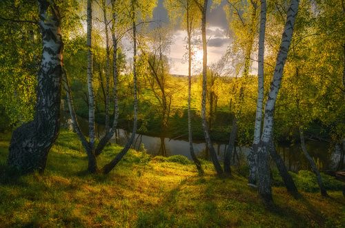 /Подмосковные вечера... /