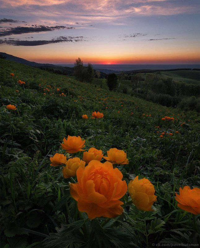 Жарки фото превью