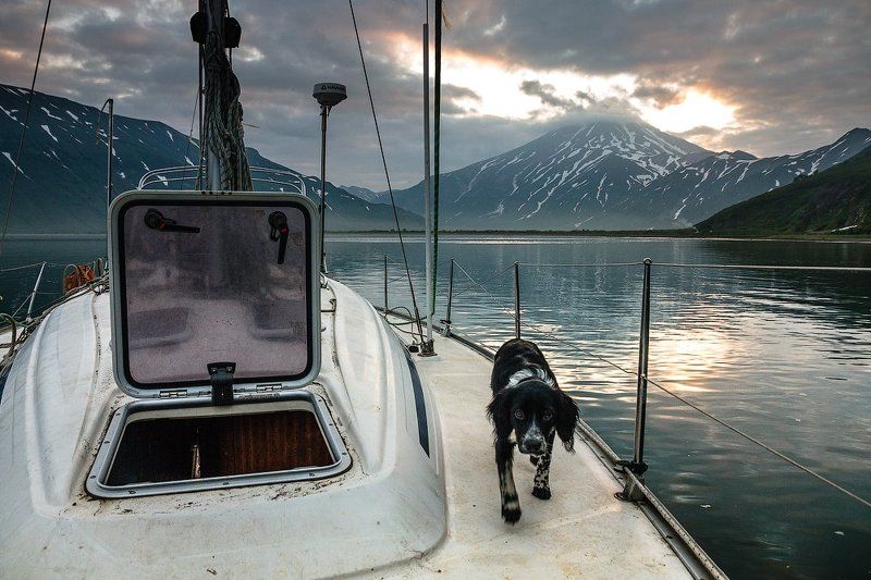 камчатка, яхта, путешествие,вилючинский вулкан, бухта,закат Камчатский морской волк фото превью