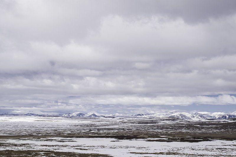 тундра, север, арктика Тундра фото превью