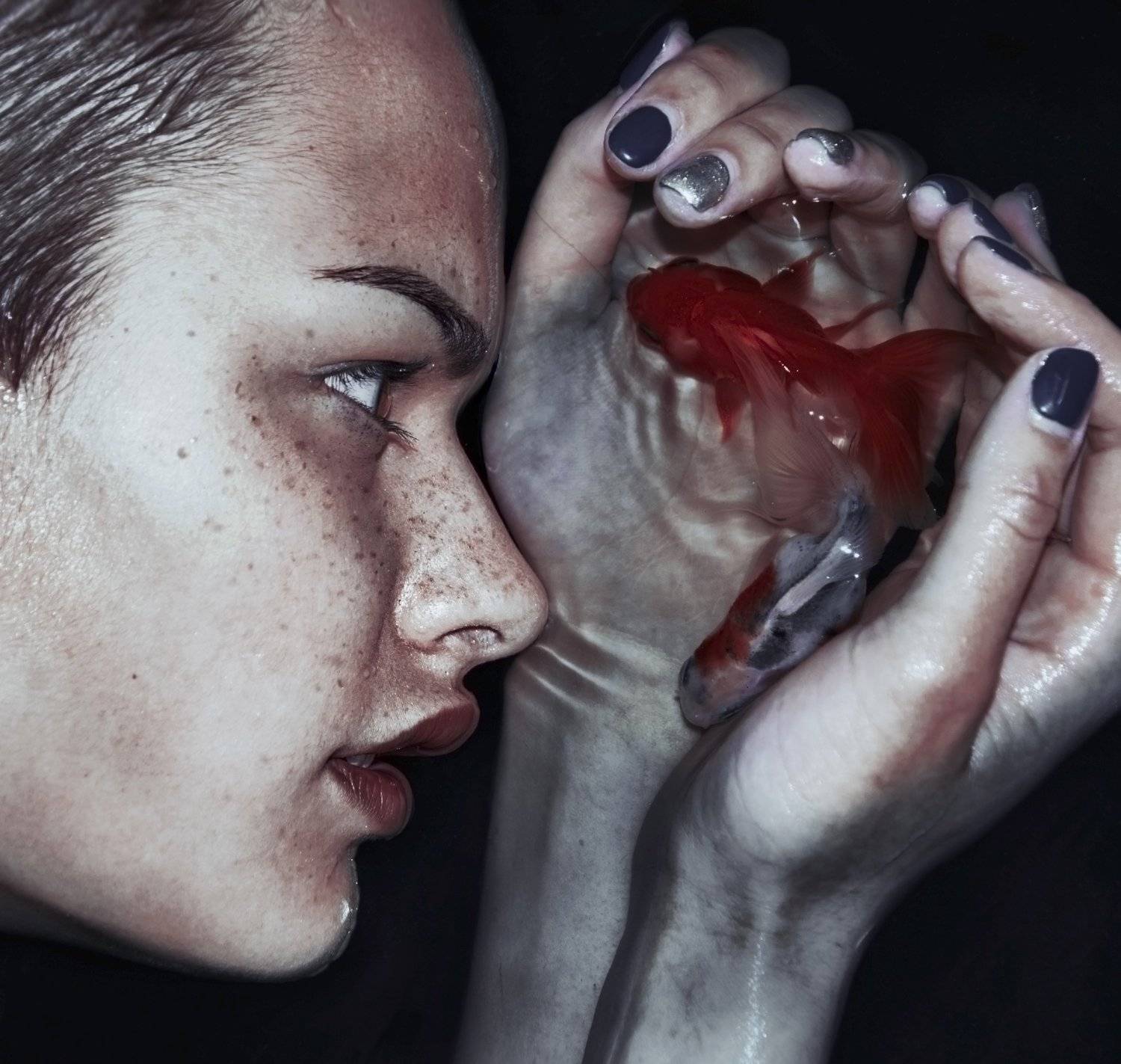 silence,fish, Kirill Golovan