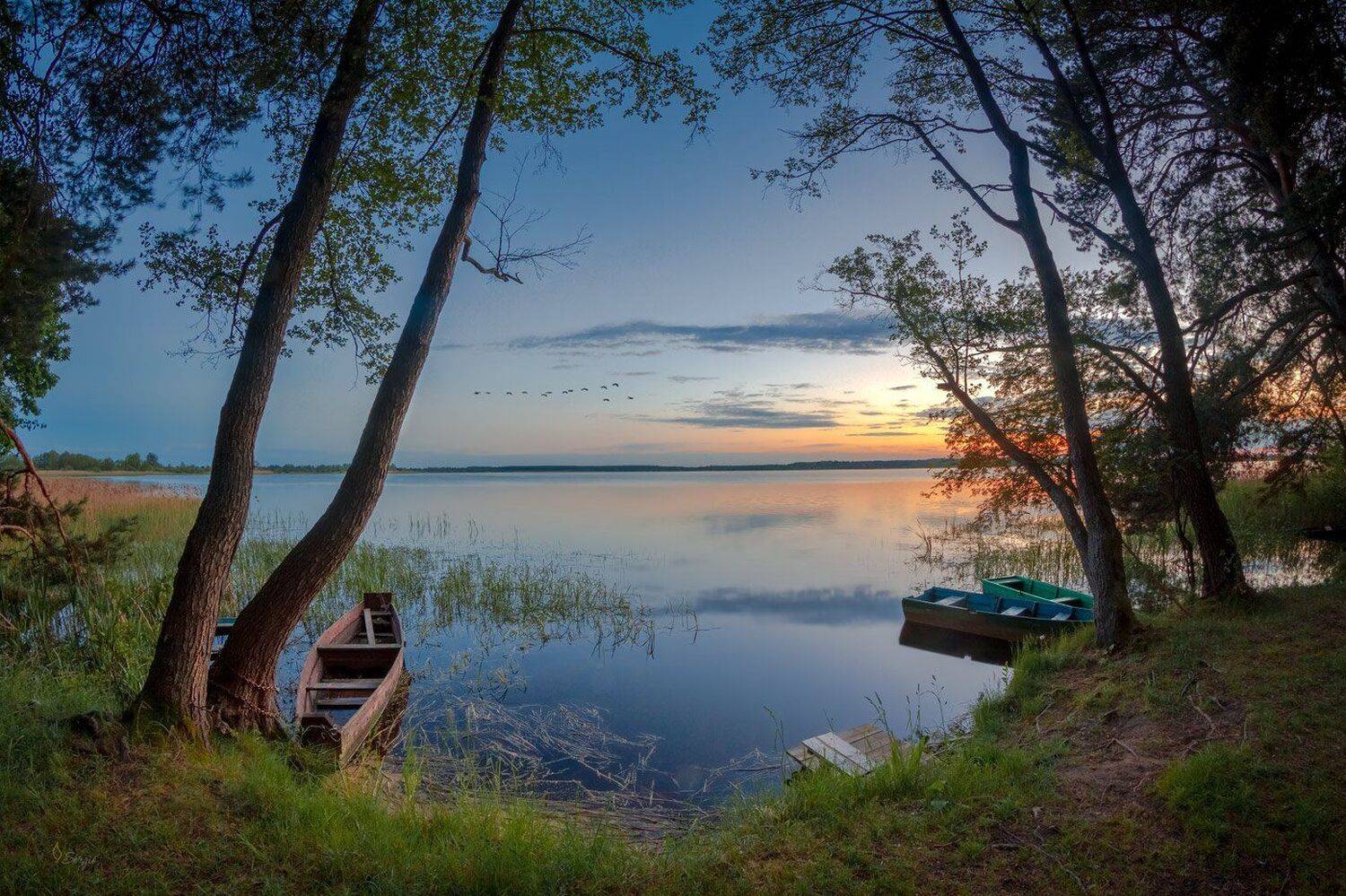 Беларусь, Серж Домбровский