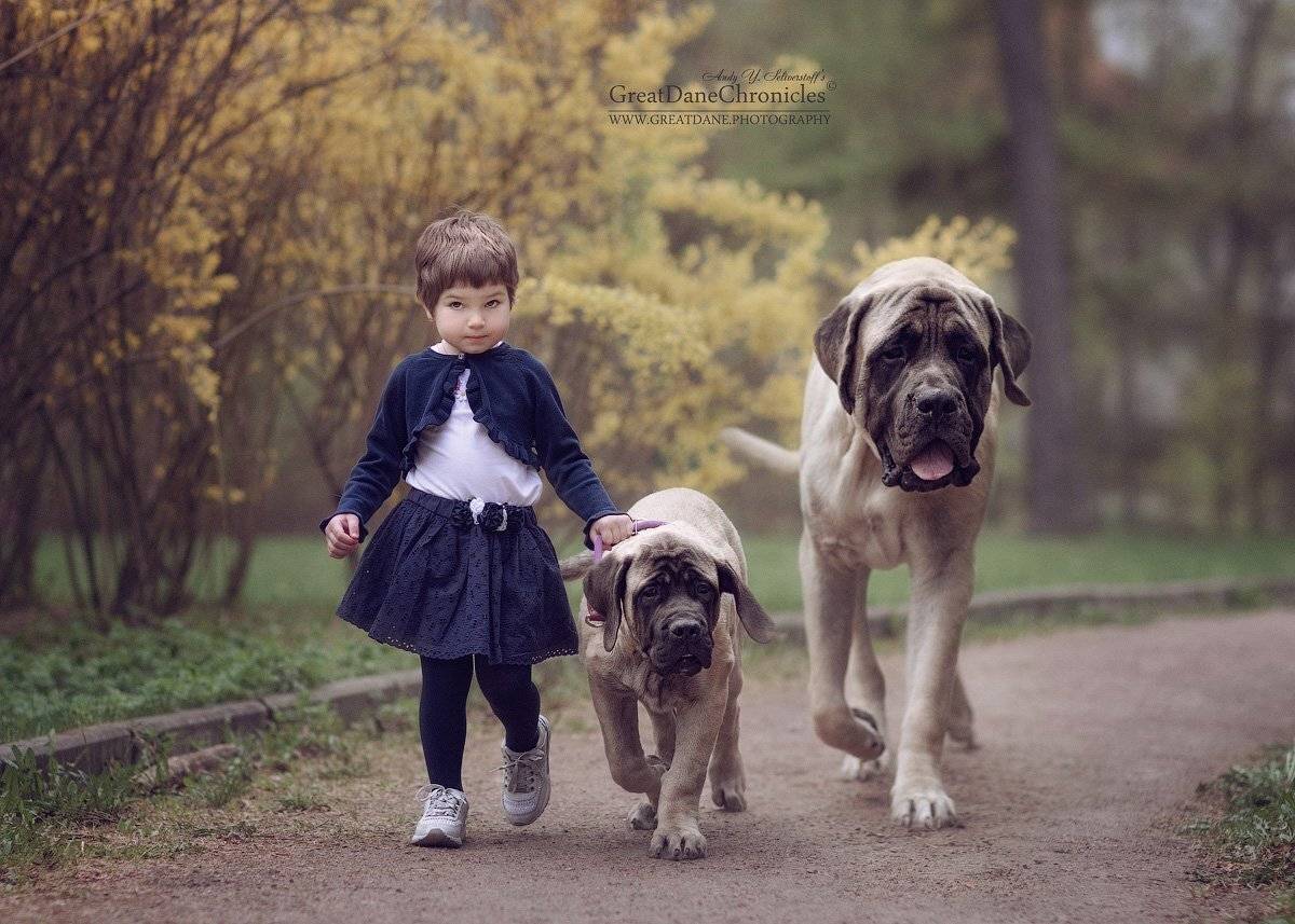 , Андрей Селиверстов