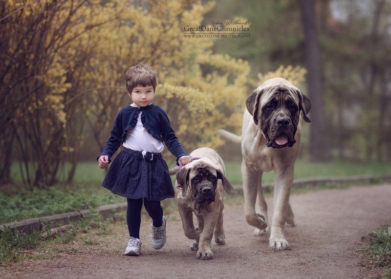 Под маминым присмотром ... фото превью