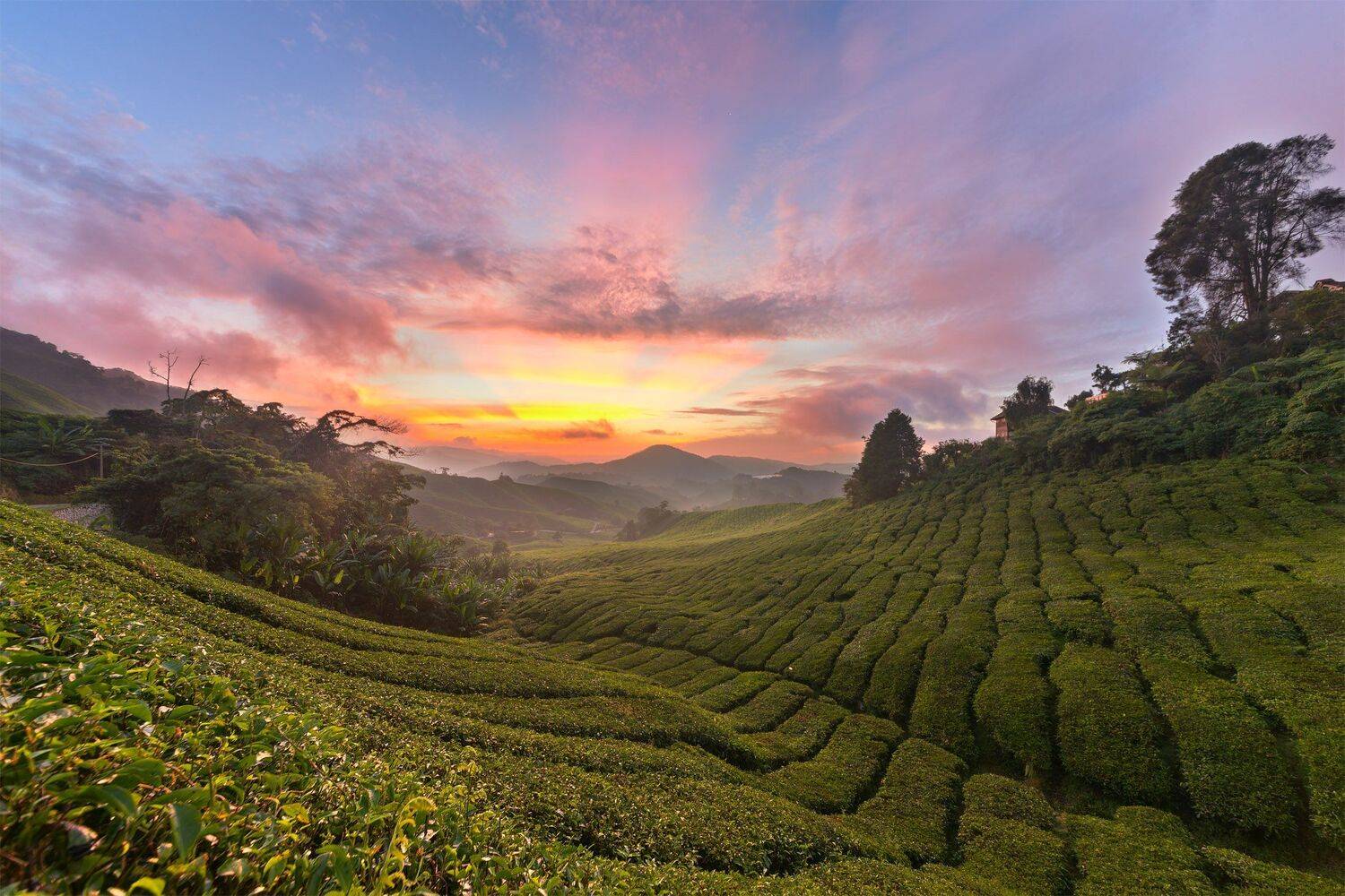 , Михаил Туркеев