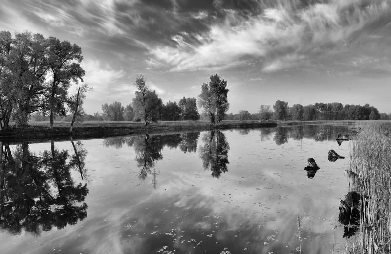 bw фото превью