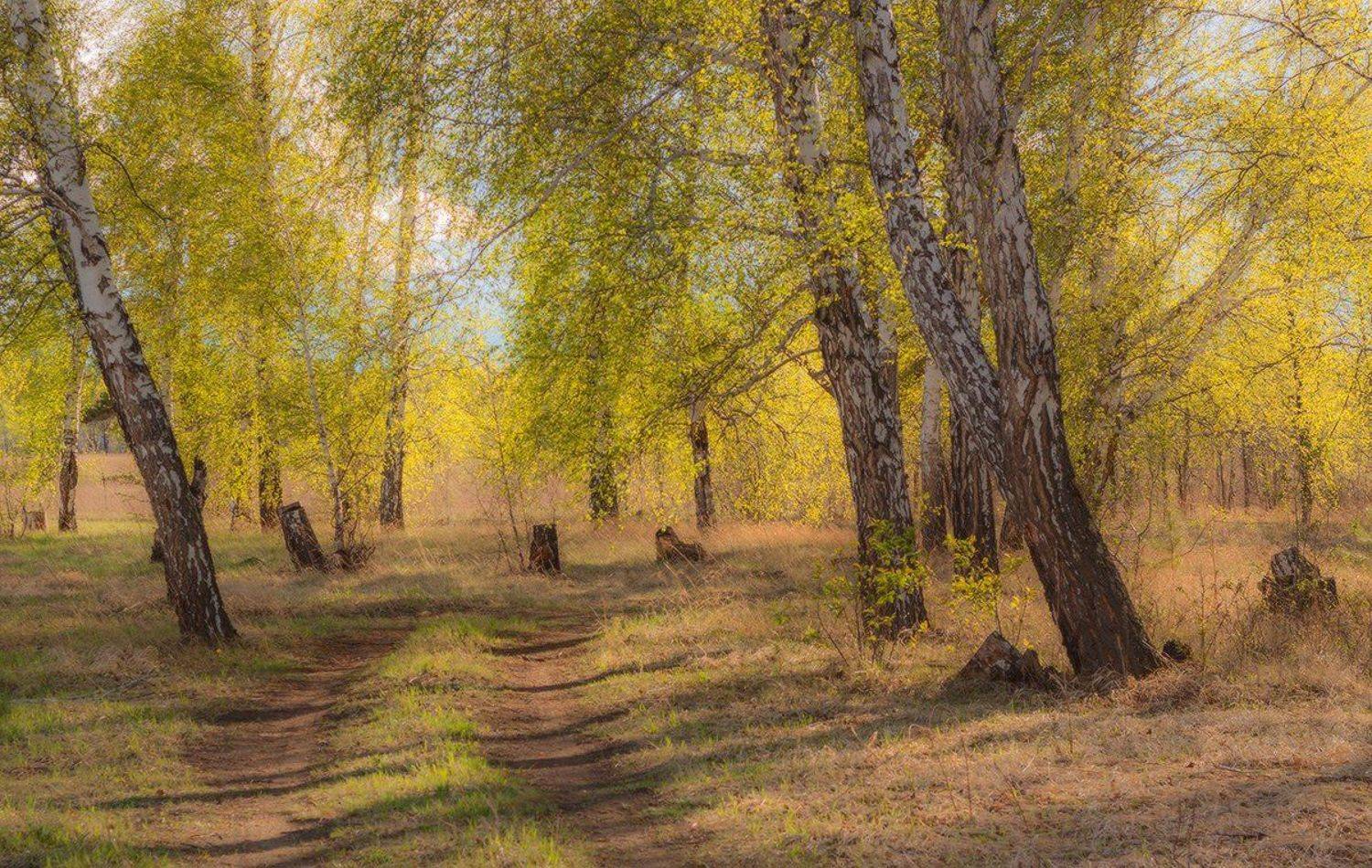 , Николай Морский