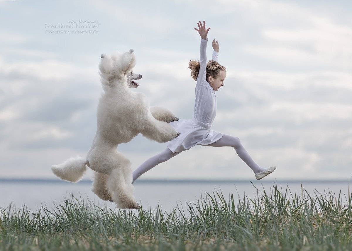 , Андрей Селиверстов