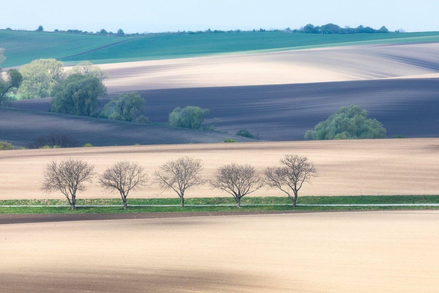 моравия, весна, дерево, трава, green, Марина Маликова