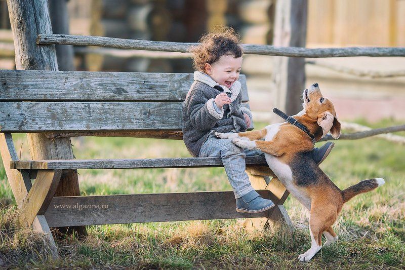 дети малыш мальчик щенок собака детская фотография  фото превью