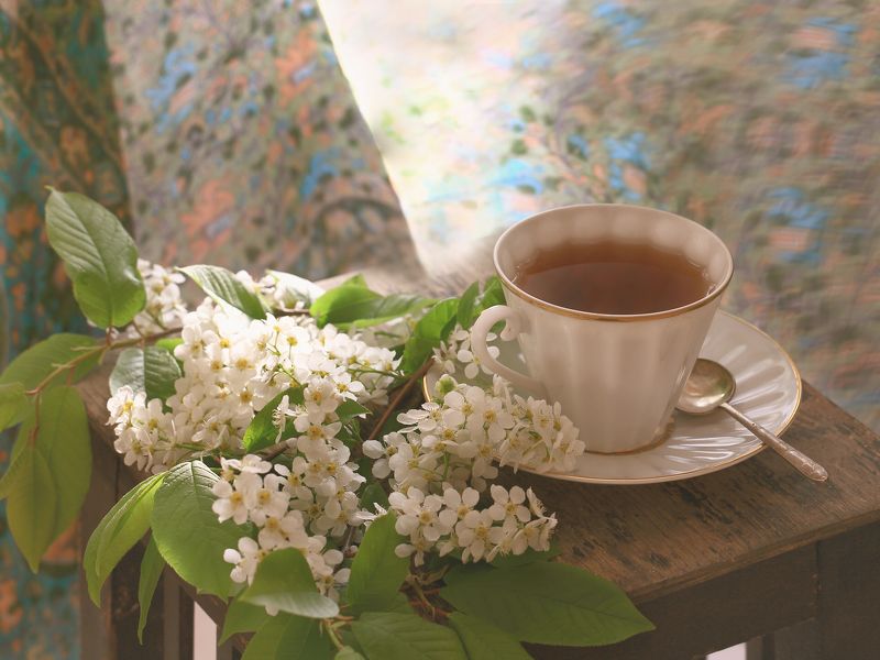 натюрморт, черемуха, чай, чашка, белый, зеленый, весна, арт *** фото превью