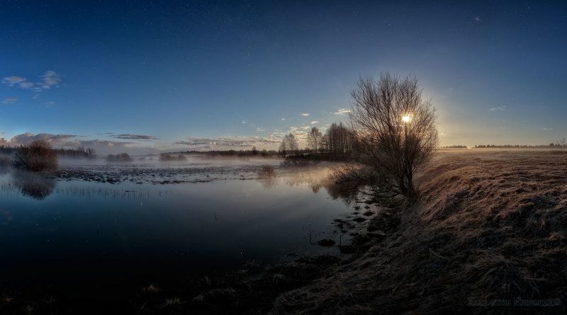 ночью лунной... фото превью