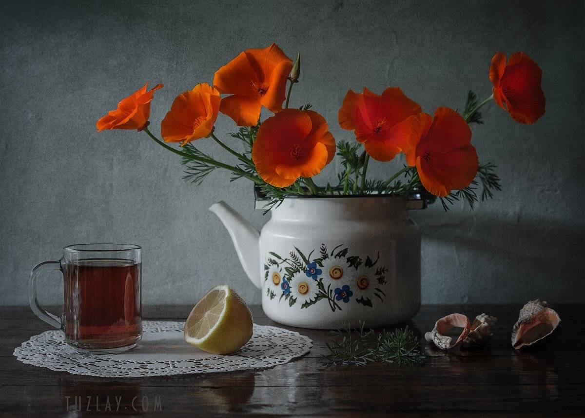 эшшольция, калифорнийские маки, чайник, Владимир Тузлай