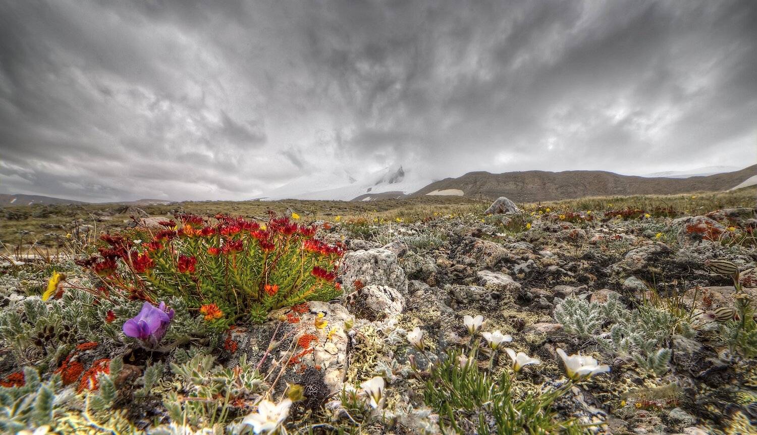 , Сергей Кузнецов