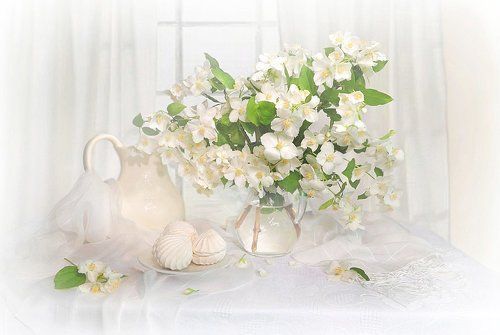 Утро с жасмином!