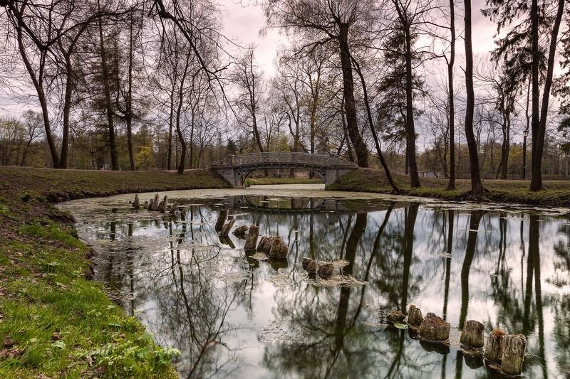 Дворцовый парк фото превью