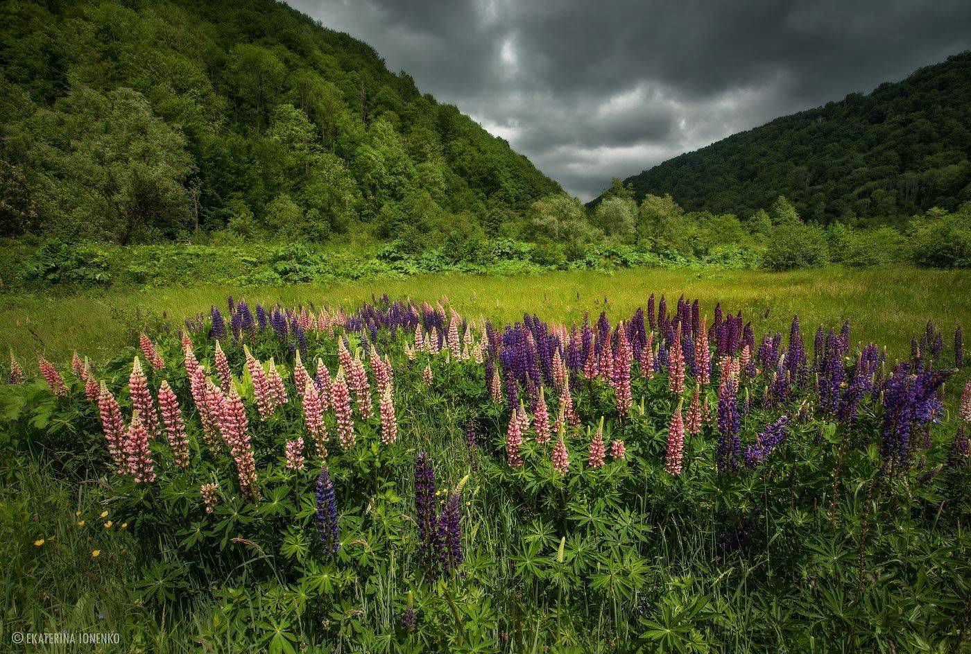 , Екатерина Ионенко