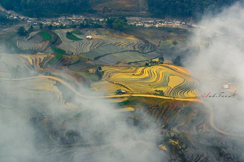 Painting in the Cloud фото превью