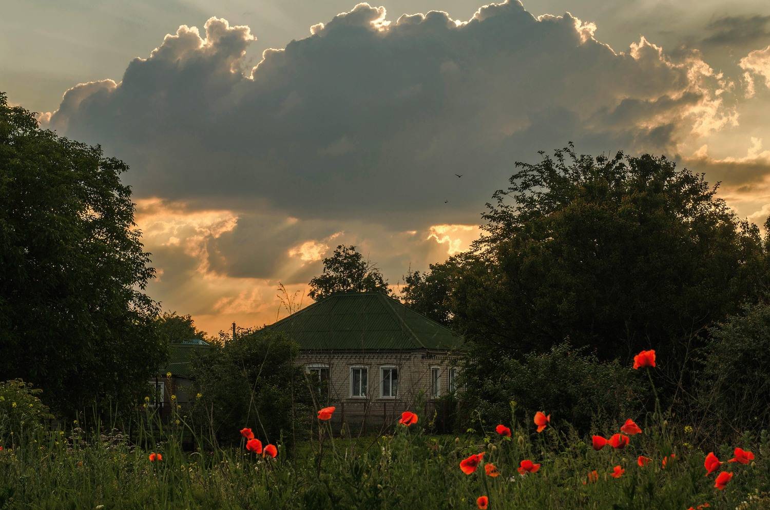 , Лилия Немыкина