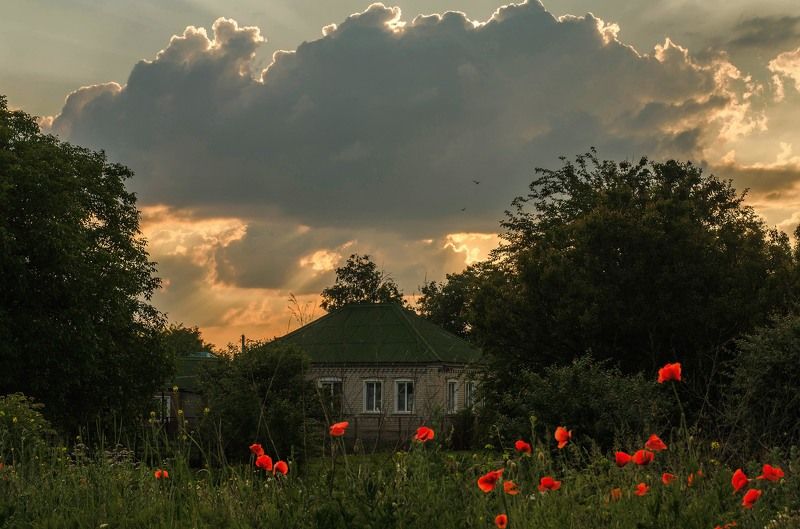 Перед грозой фото превью