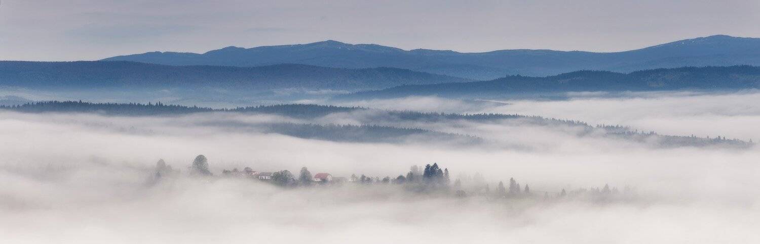 весна, горы, карпаты, май, туман, утро, Вейзе Максим