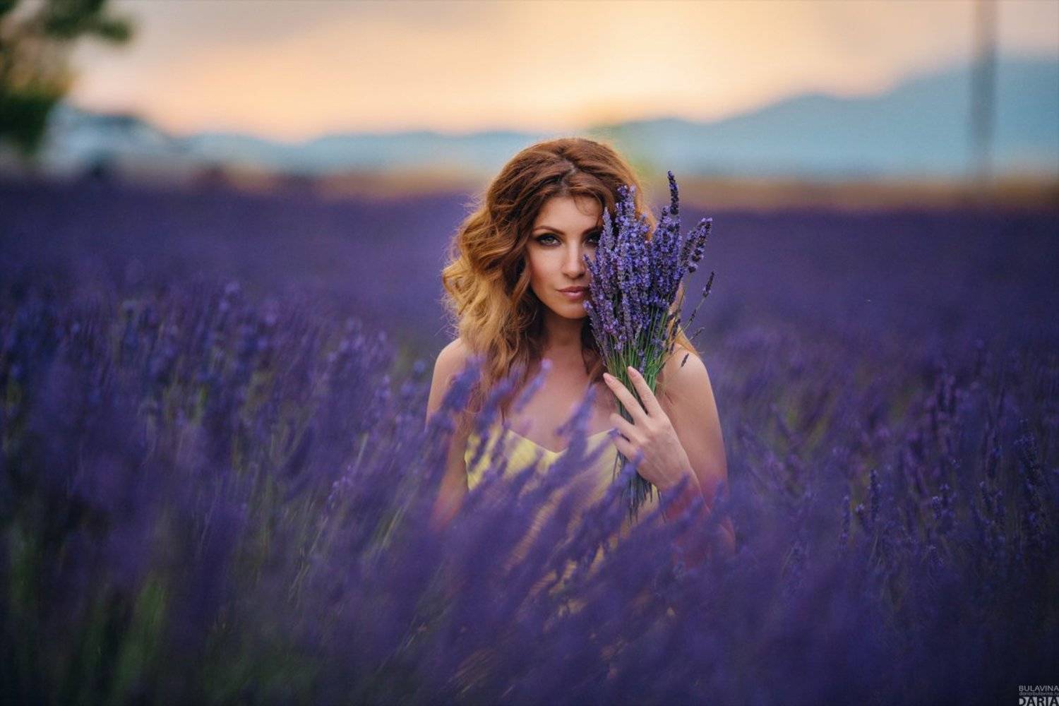 лаванда,  франция,  прованс,  портрет, Дарья Булавина