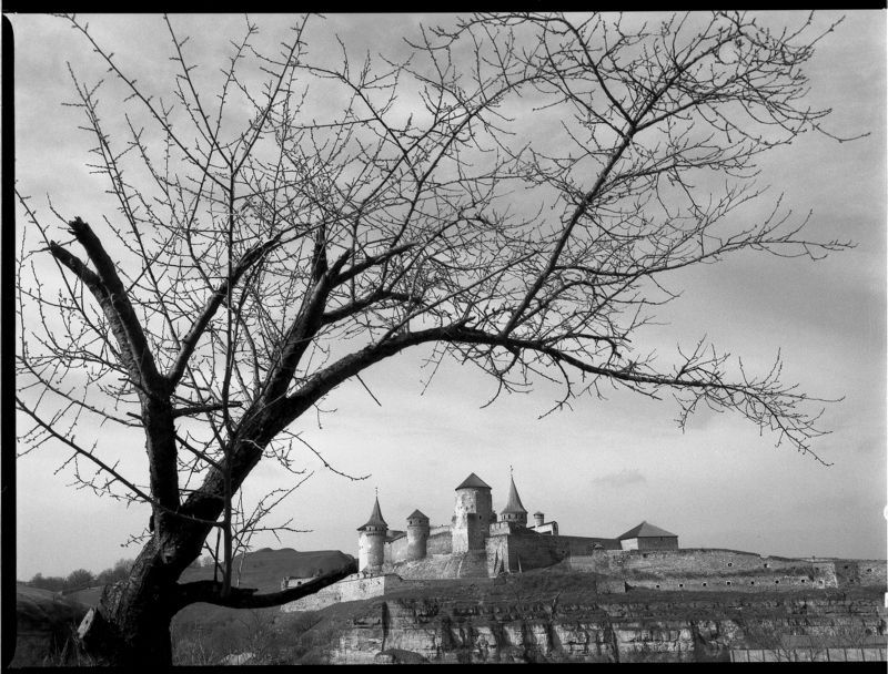 Под прикрытием фото превью