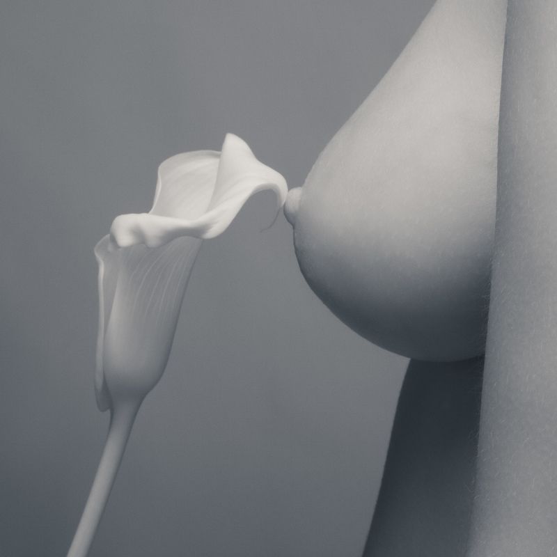 Касание фото превью