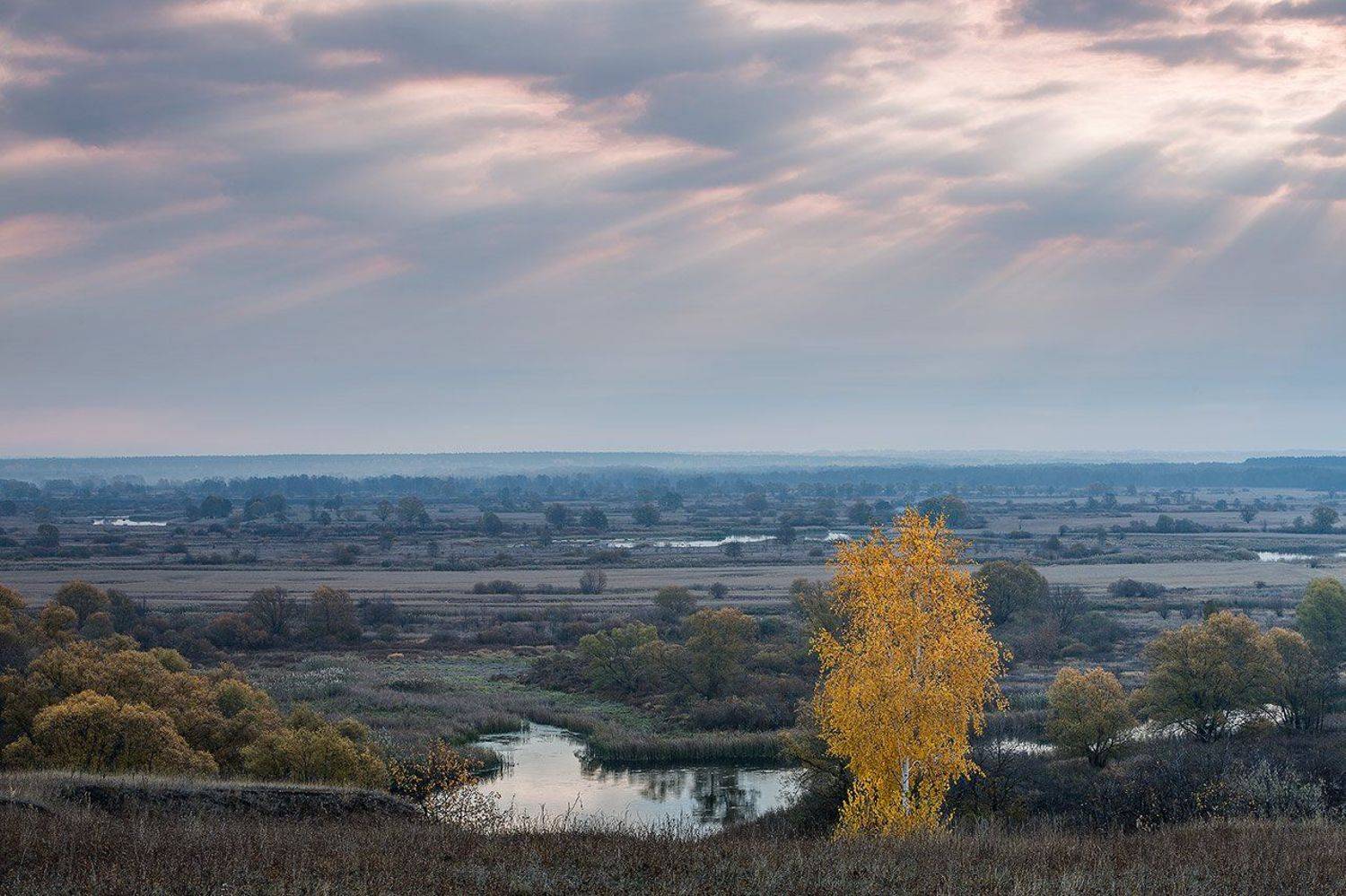 , Юрий Сорокин