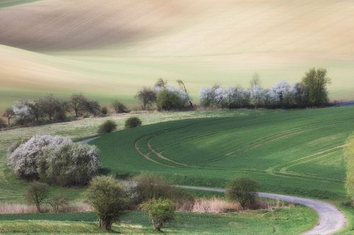 Вечерняя безмятежность