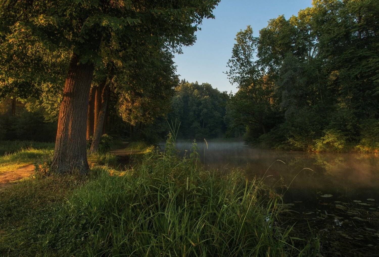 , Сергей Давыдов