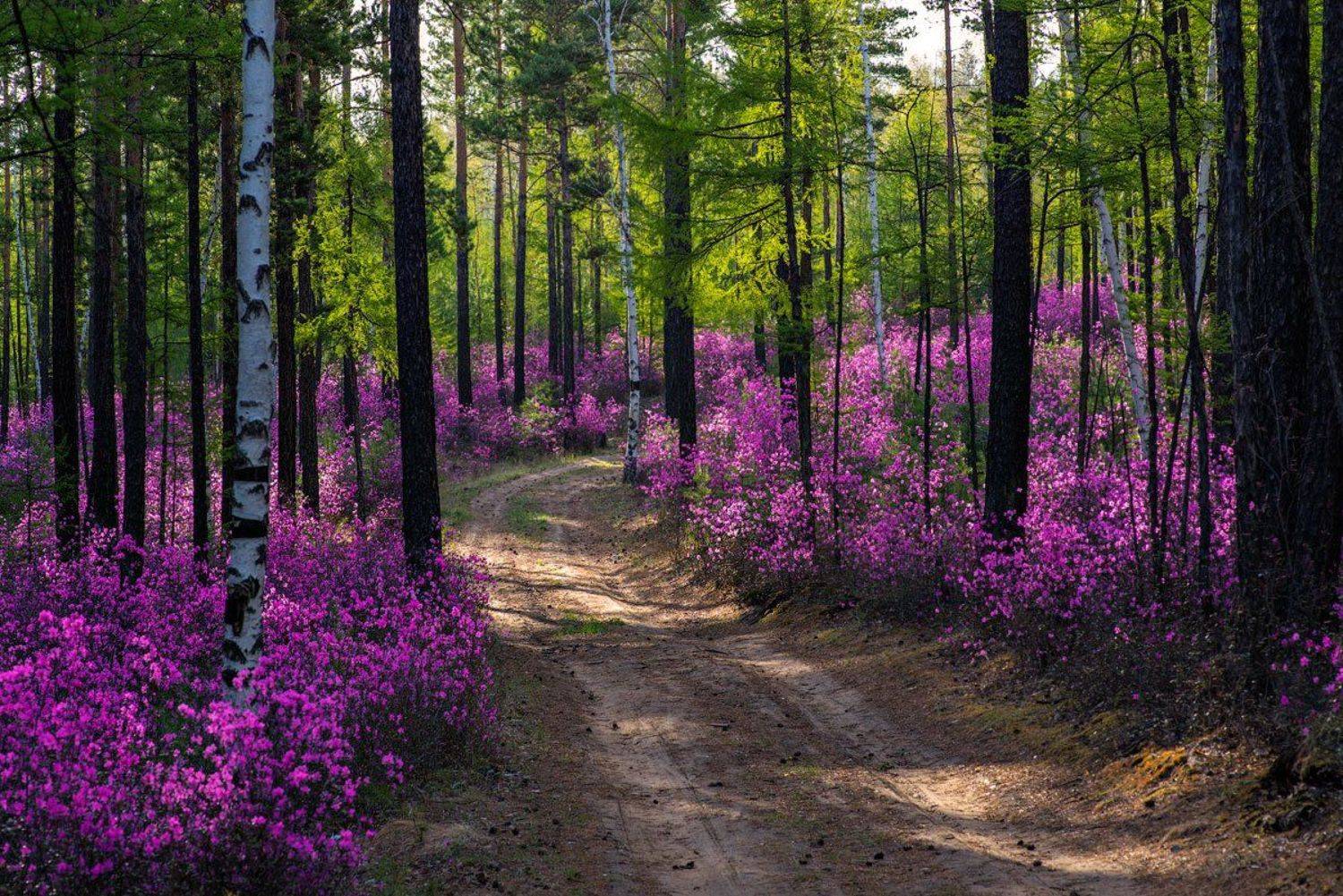 , Сергей Брагин