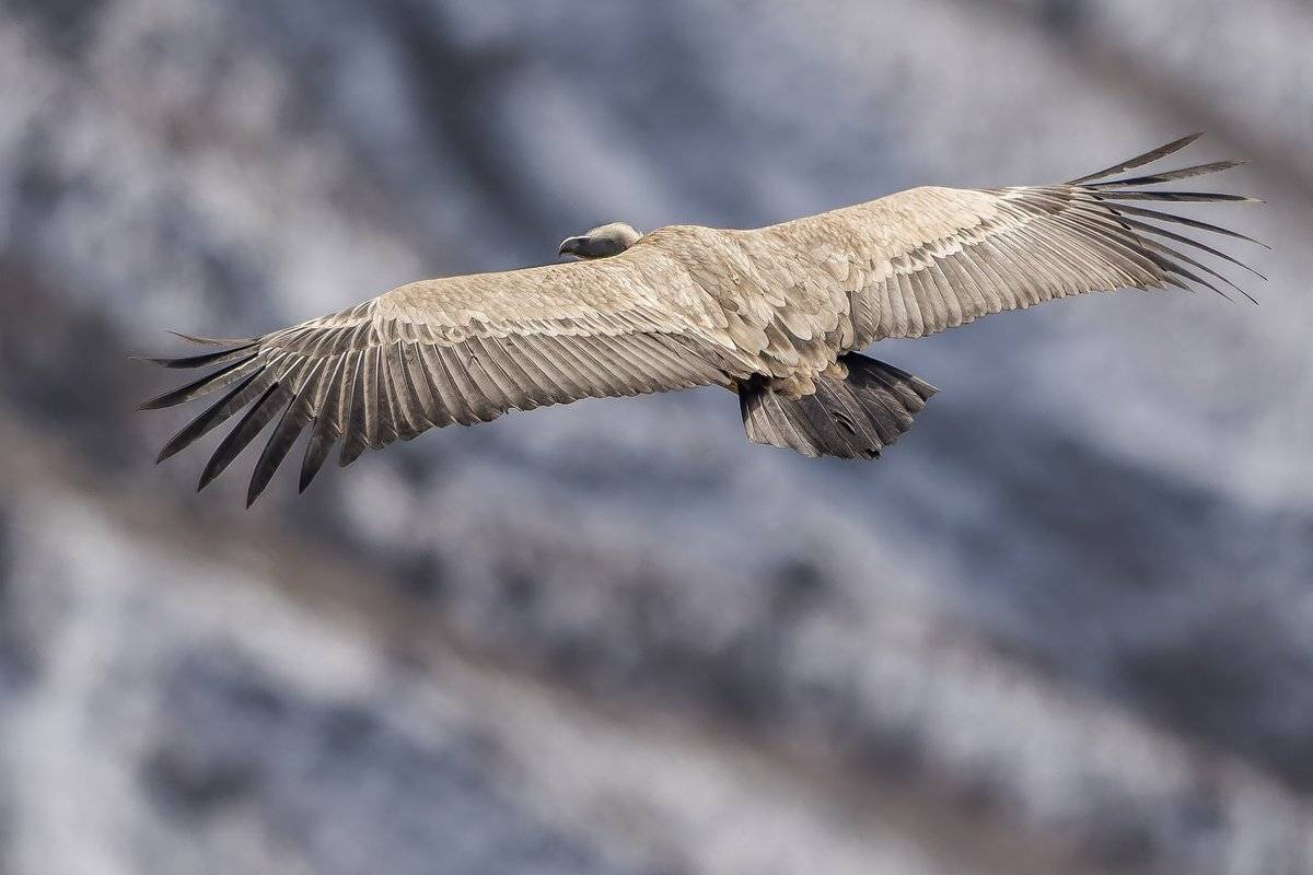 бездна, Александр Маркелов