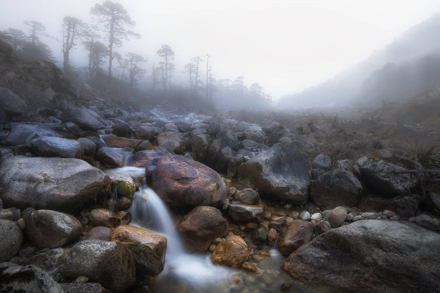 туман. ручей, долина, горы, гималаи, индия, сикким, Александр Рыбаков