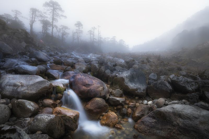 туман. ручей, долина, горы, гималаи, индия, сикким *** фото превью