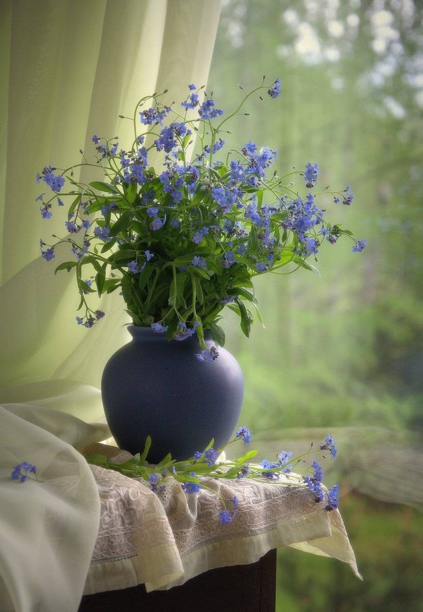 сергей алексеев, натюрморт, Сергей Алексеев