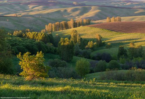Майские предгорья Алтая