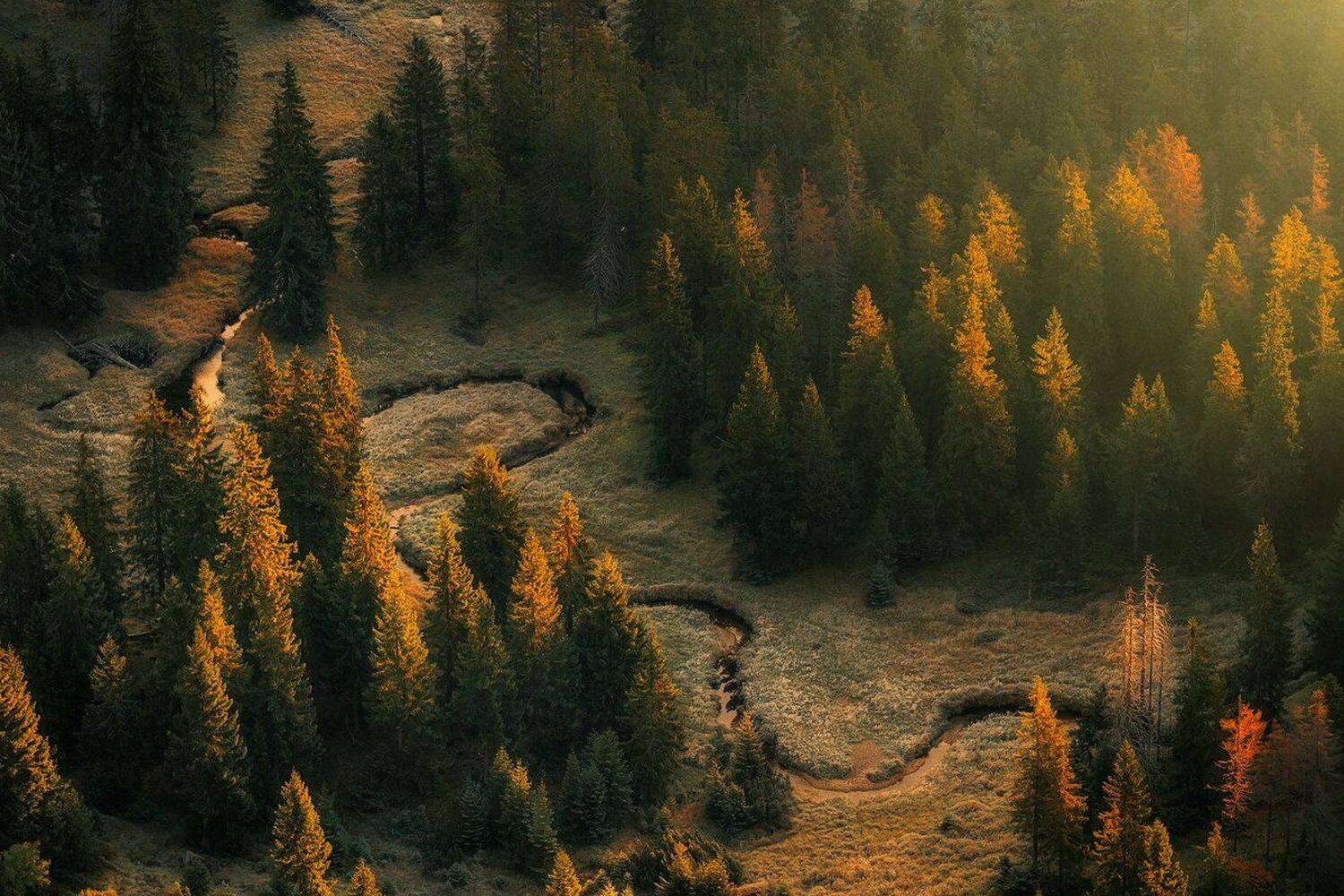 landscape,canon,mist,light,autumn, Iza,Darek