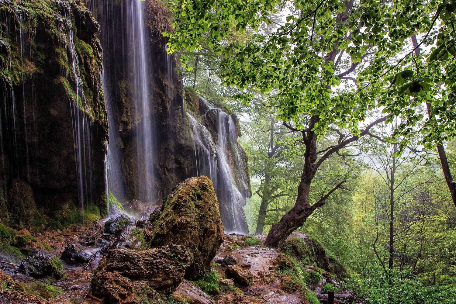 , Бистра Стоименова