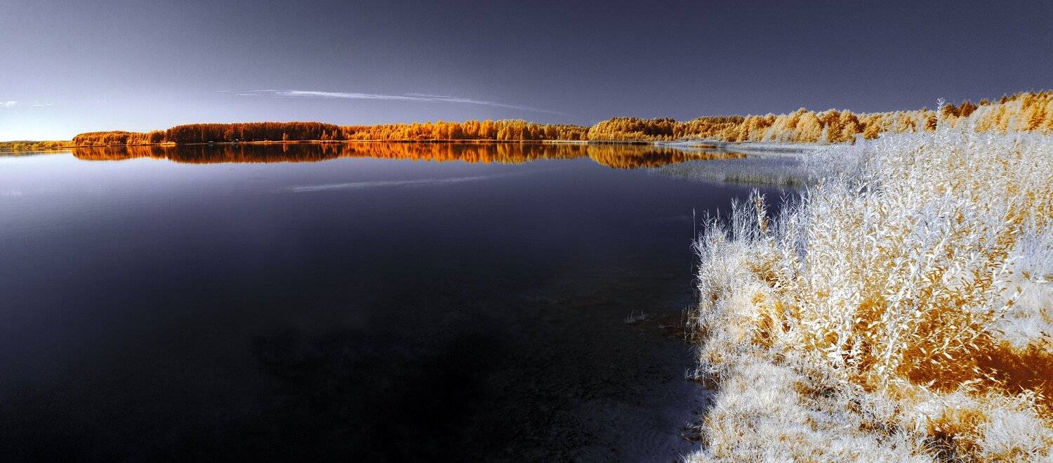infrared,ик-фото,инфракрасное фото,инфракрасная фотография,пейзаж,природа,беларусь,осень, Sixten ( Сергей )