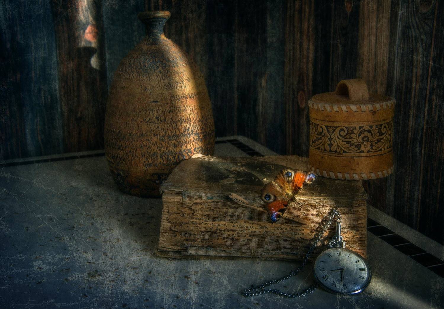 бабочка, натюрморт, свет, тень, Ирина Данилова