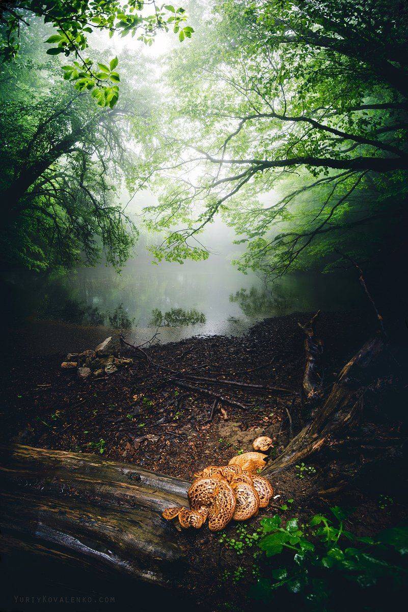 , Юрий Коваленко