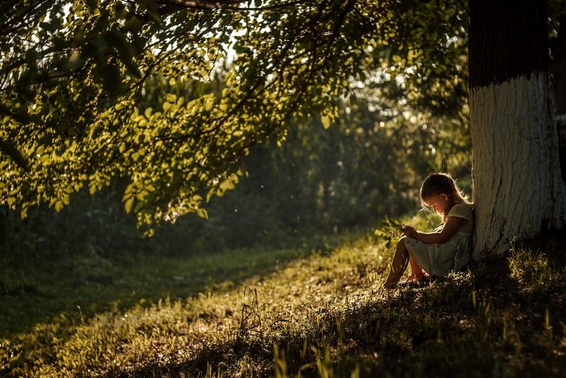Когда деревья были большими фото превью