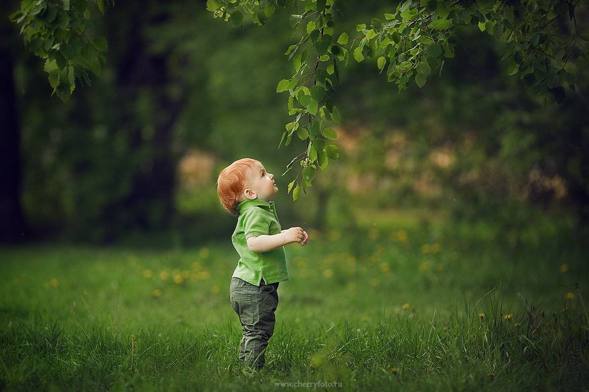 , Александра Черемохина