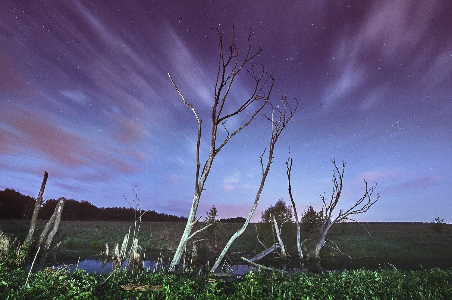 пейзаж, болото, ночь, длиннаявыдержка, Каревский Дмитрий